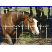 Hot Sale Metal Livestock Fence / Farm Fence